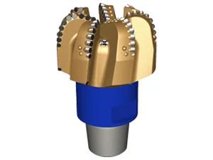 PDC Bits